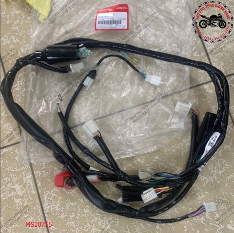 Dây điện chính RSX100cc