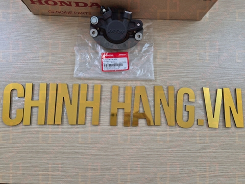 Cụm ngàm phanh sau