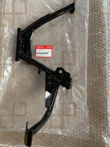 Chân chống chính