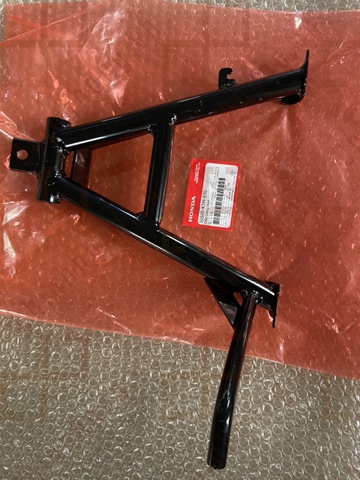 Chân chống chính