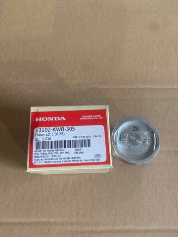Piston cốt 1 (0.25) WAVE 110