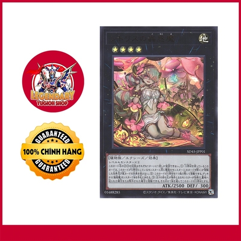 [Thẻ Bài Yugioh Chính Hãng] Traptrix Pinguicula
