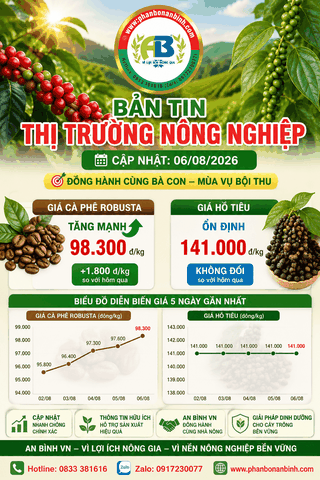 (06/08/2026): Giá cà phê tăng mạnh, hồ tiêu ổn định