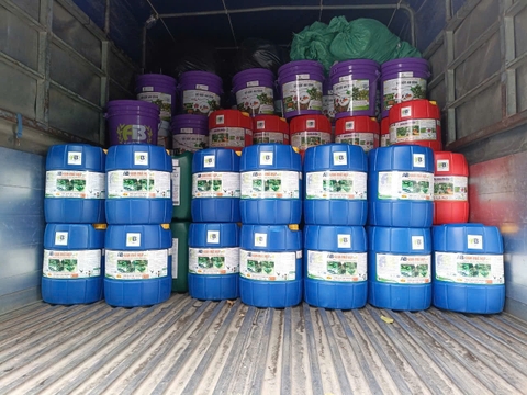 CTY TNHH AN BÌNH VN VÀ SỰ ĐỔI MỚI TRONG NĂM 2025