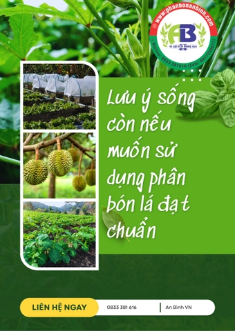 Lưu ý sống còn khi sử dụng phân bón lá đạt chuẩn
