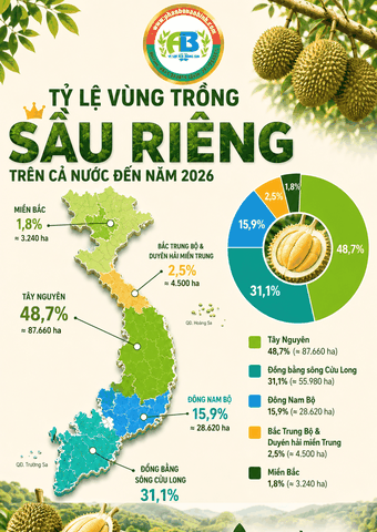 SẦU RIÊNG VIỆT NAM: DIỆN TÍCH VÙNG TRỒNG TẬP TRUNG Ở ĐÂU?