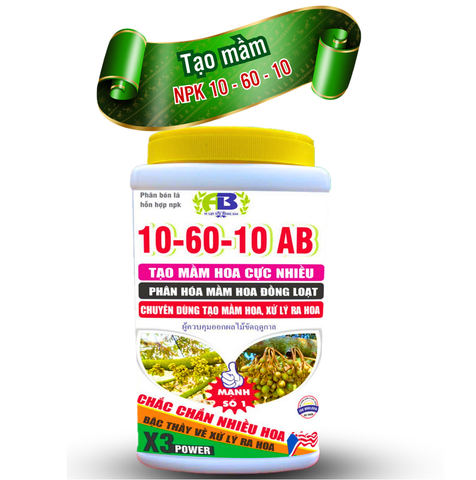 NPK 10-60-10 tạo mầm hoa sầu riêng An Bình VN