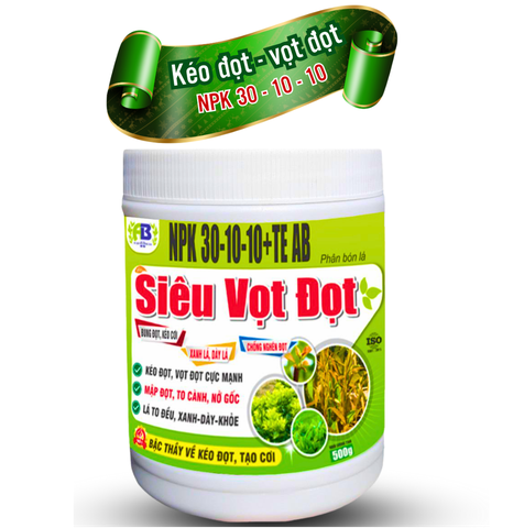 30 - 10 - 10 + TE AB 