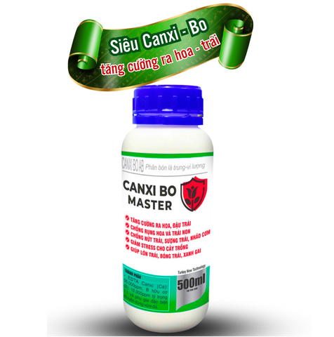 CANXI BO MASTER