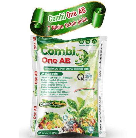 COMBI ONE AB - 7 thành phần nguyên liệu