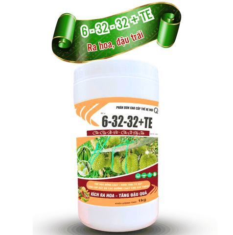6 - 32 - 32 An Bình VN