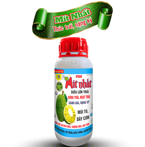 Mít nhất, chuyên nuôi mít - An Bình Vn