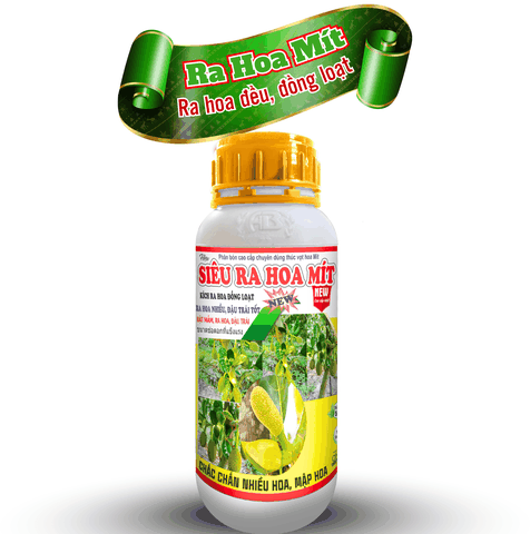 Siêu ra hoa mít - kích hoa mít - An Bình Vn
