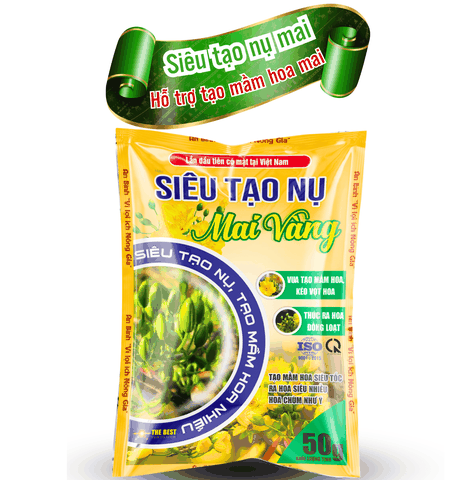 Siêu tạo nụ mai vàng - An Bình Vn