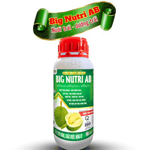 Big Nutri AB, phân bón nuôi trái sầu riêng - An Bình Vn