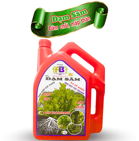 Can đạm sâm 5L - An Bình Vn