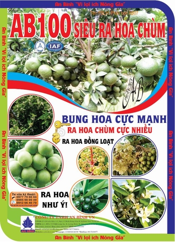 AB100-SIÊU RA HOA CHÙM