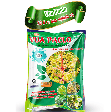 Vua Paclo - Chuyên làm bông nghịch vụ - An Bình Vn