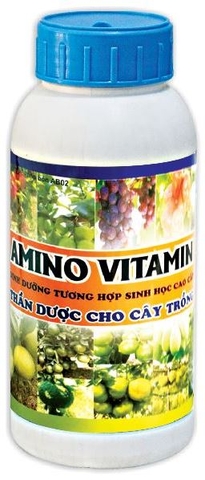 AMINO VITAMIN