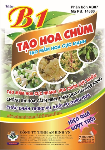 B1-TẠO HOA CHÙM