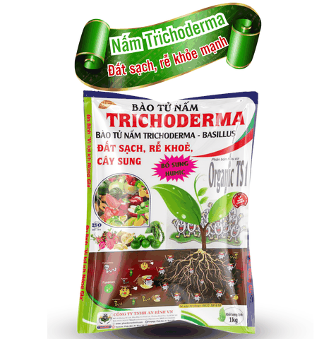 Nấm đối kháng Trichoderma - An Bình Vn