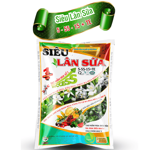 Siêu lân sữa - An Bình Vn