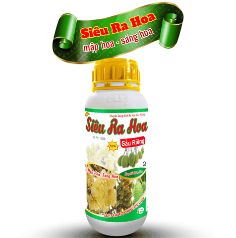 Siêu ra hoa sầu riêng - An Bình Vn