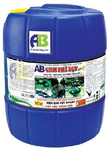 CAN SIÊU PHÌ DẸP