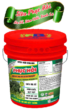 XÔ SIÊU PHỤC HỒI - NUTRI MAX ORGANIC