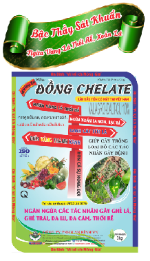 ĐỒNG CHELATE 