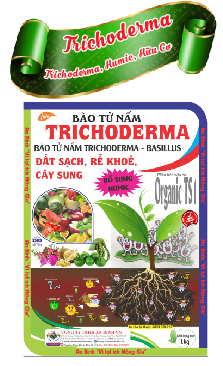TRICHODERMA 