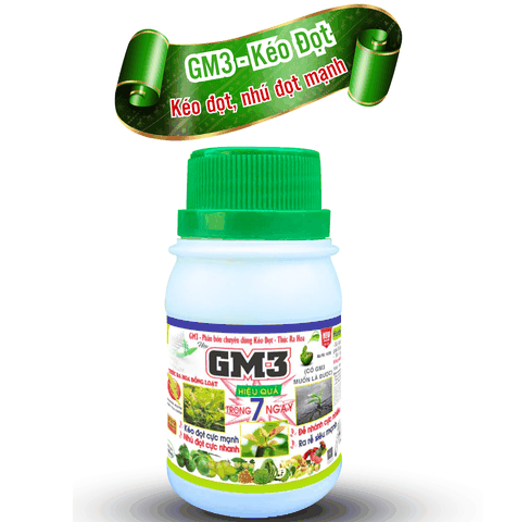 GM3 Kéo đọt mạnh - An Bình Vn