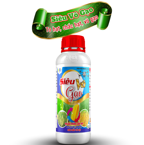 Siêu vô gạo, trổ thoát, chắc hạt - An Bình Vn