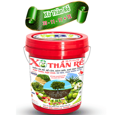 Xô Thần Rễ 33-11-11+TE