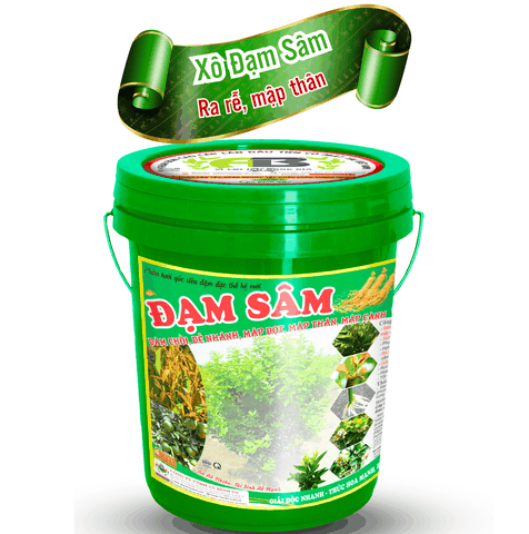 Xô Đạm Sâm An Bình VN