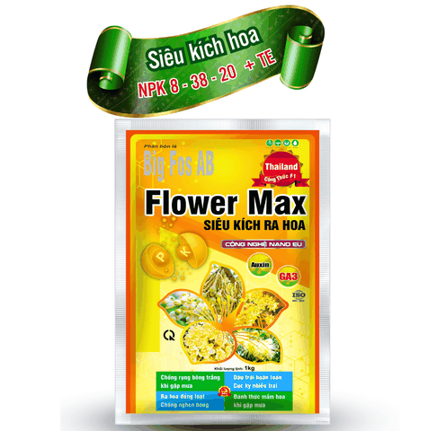Flower Max – Siêu Kích Ra Hoa (Big Fos AB) – Công Nghệ Nano EU