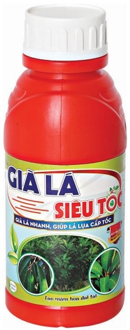 GIÀ LÁ SIÊU TỐC