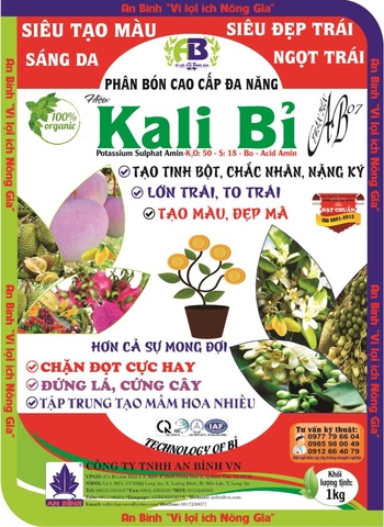 KALI BỈ