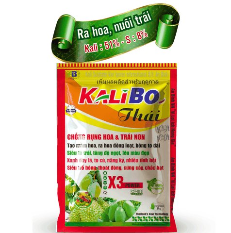Kali Bo thái