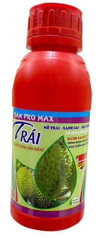 NỞ TRÁI, XANH GAI, DAI CUỐNG