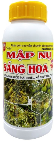 MẬP NỤ, SÁNG HOA