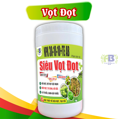 30 - 10 - 10 + TE AB 