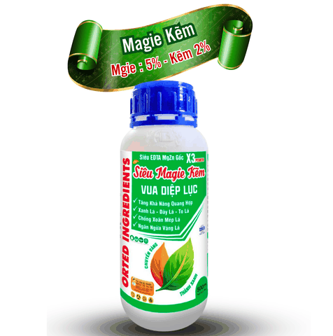 SIêu Magie Kẽm (An Bình) | Vua diệp lục, xanh lá, dày lá - chống vàng lá