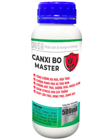 Canxi bo master