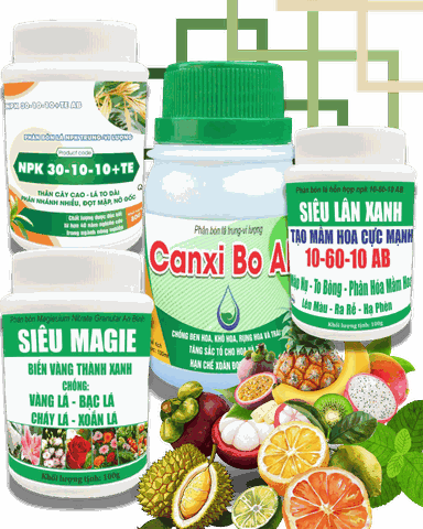 BỘ 4 SẢN PHẨM DUNG TÍCH NHỎ – GIẢI PHÁP DINH DƯỠNG TOÀN DIỆN CHO CÂY TRỒNG