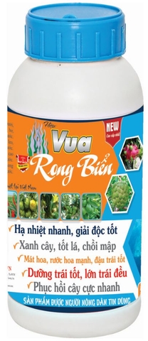 VUA RONG BIỂN