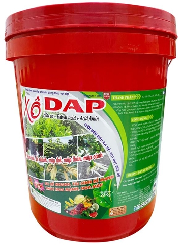 XÔ DAP + HỮU CƠ