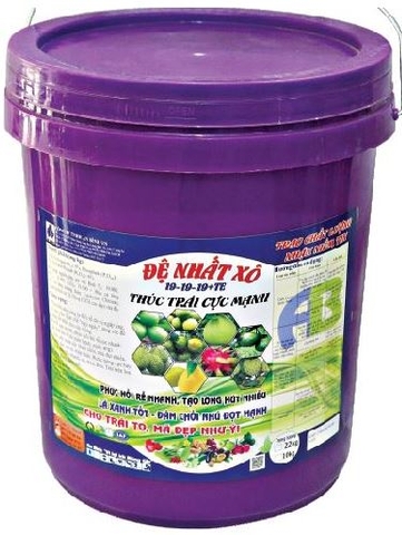 XÔ ĐỆ NHẤT 19-19-19+TE