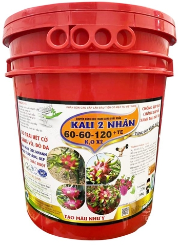 XÔ KALI 2 NHÂN