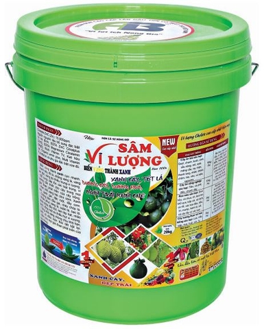 XÔ SÂM VI LƯỢNG CAO CẤP